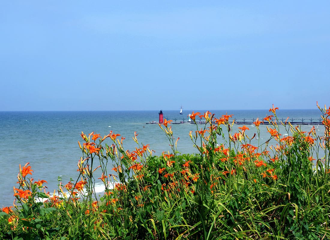 South Haven, MI - View of Orange Lillies Growing Next to the Lake with a Lighthouse Visible in the Distance in South Haven Michigan on a Sunny Day